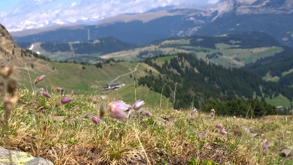 Mahlknechthuette Seiseralm Hotel Алпе ди Сиуси Екстериор снимка